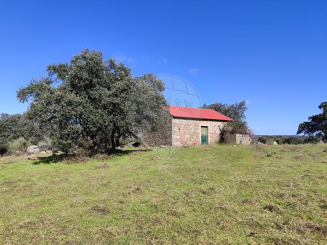 Quinta - Oledo, Idanha-a-Nova, Castelo Branco