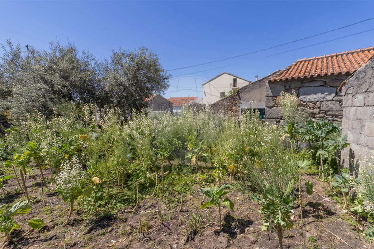 Moradia T3 à venda em Inguias, Belmonte — foto 7