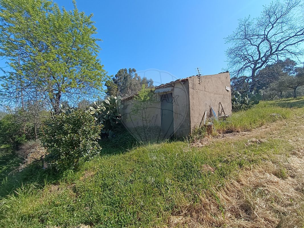 Terreno - Pedrógão de São Pedro e Bemposta, Penamacor, Castelo Branco