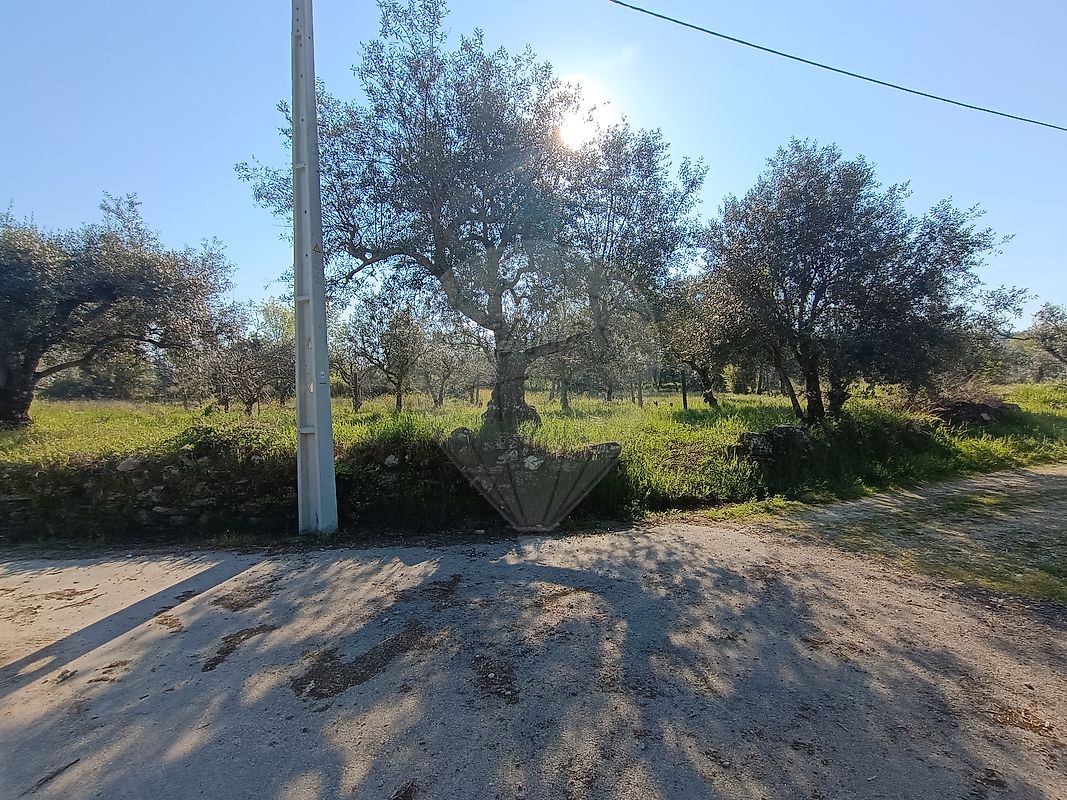 Terreno - Aldeia do Bispo, Águas e Aldeia de João Pires, Penamacor, Castelo Branco