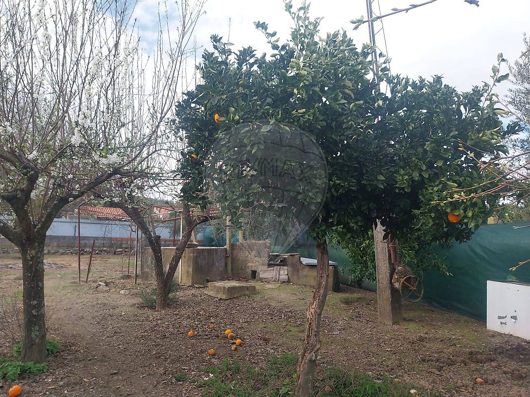 Terreno - Escalos de Cima e Lousa, Castelo Branco, Castelo Branco