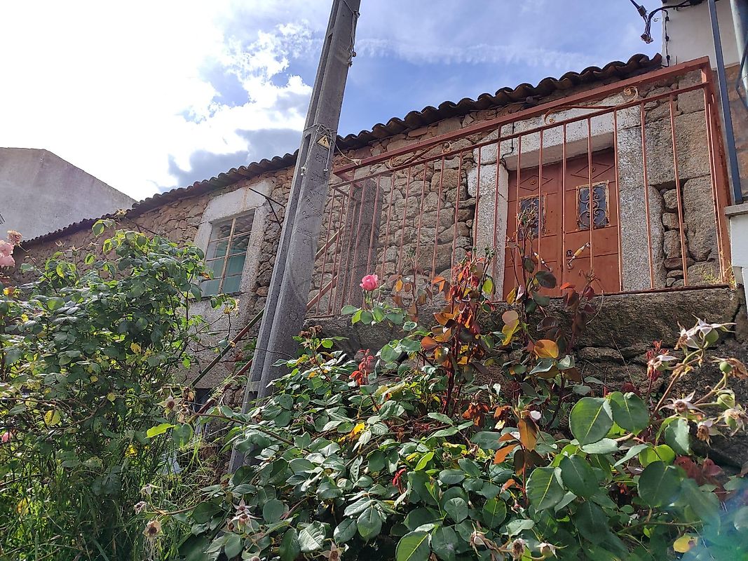 Moradia - Pedrógão de São Pedro e Bemposta, Penamacor, Castelo Branco