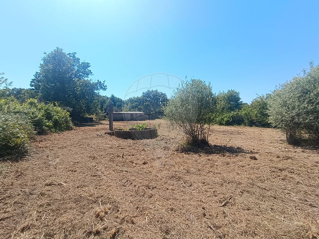 Terreno - Pedrógão de São Pedro e Bemposta, Penamacor, Castelo Branco