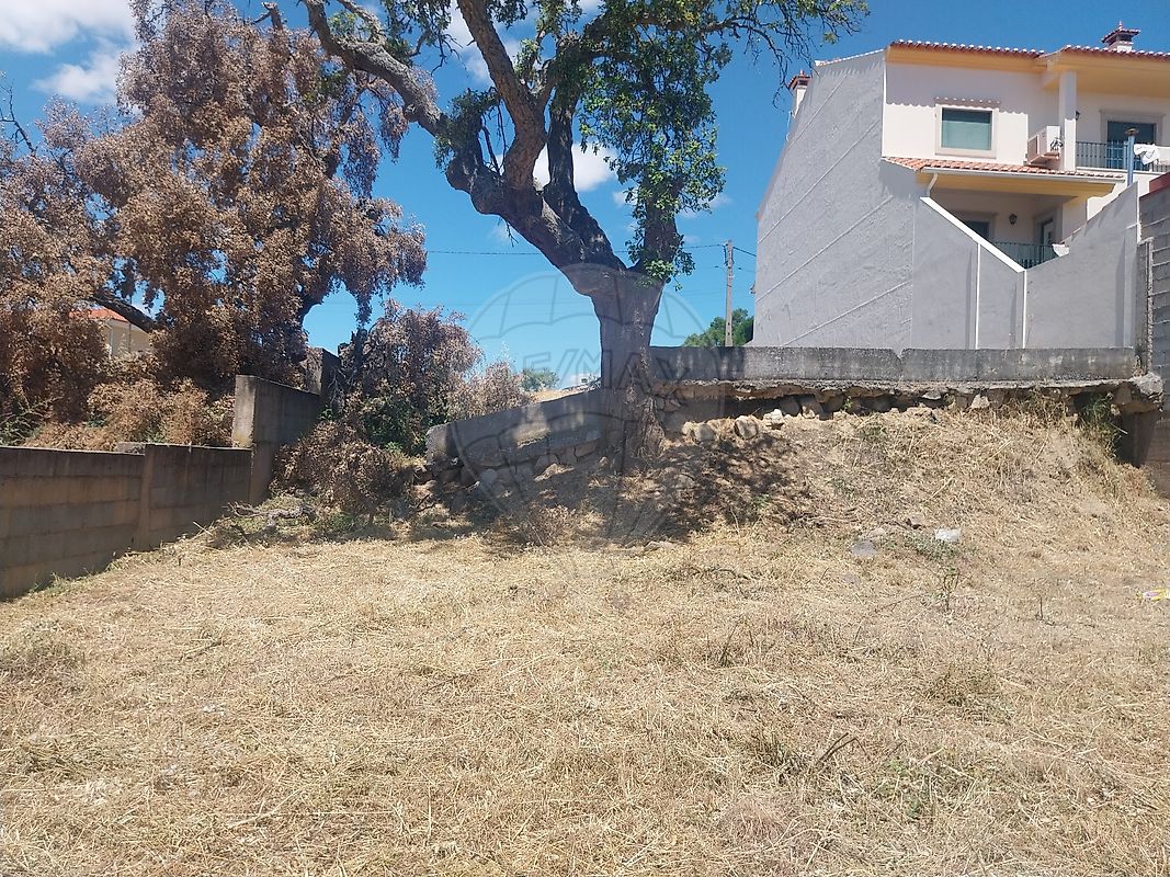 Terreno - Escalos de Cima e Lousa, Castelo Branco, Castelo Branco