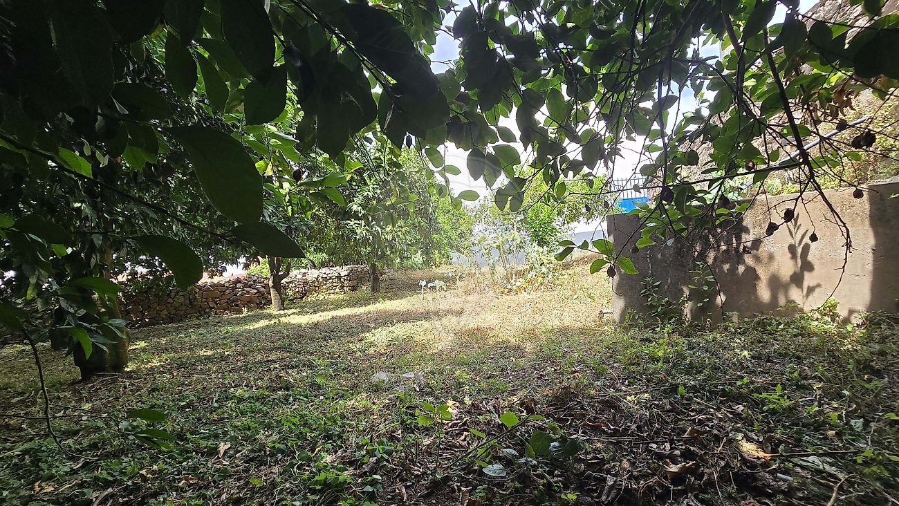 Moradia T2 à venda em Salvador, Penamacor — foto 18