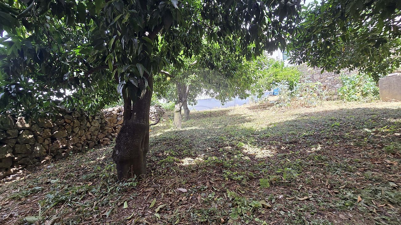 Moradia T2 à venda em Salvador, Penamacor — foto 19