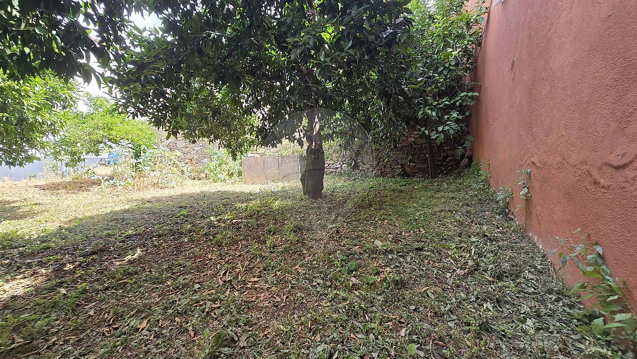 Moradia T2 à venda em Salvador, Penamacor — foto 17