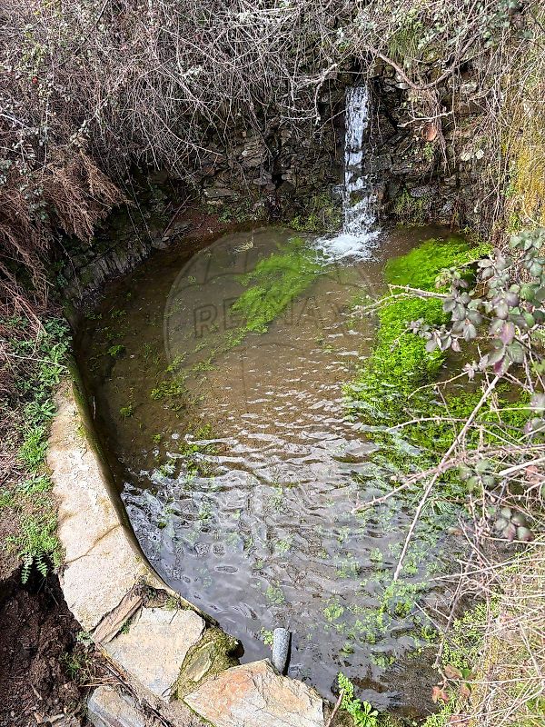 Terreno - Casegas e Ourondo, Covilhã, Castelo Branco
