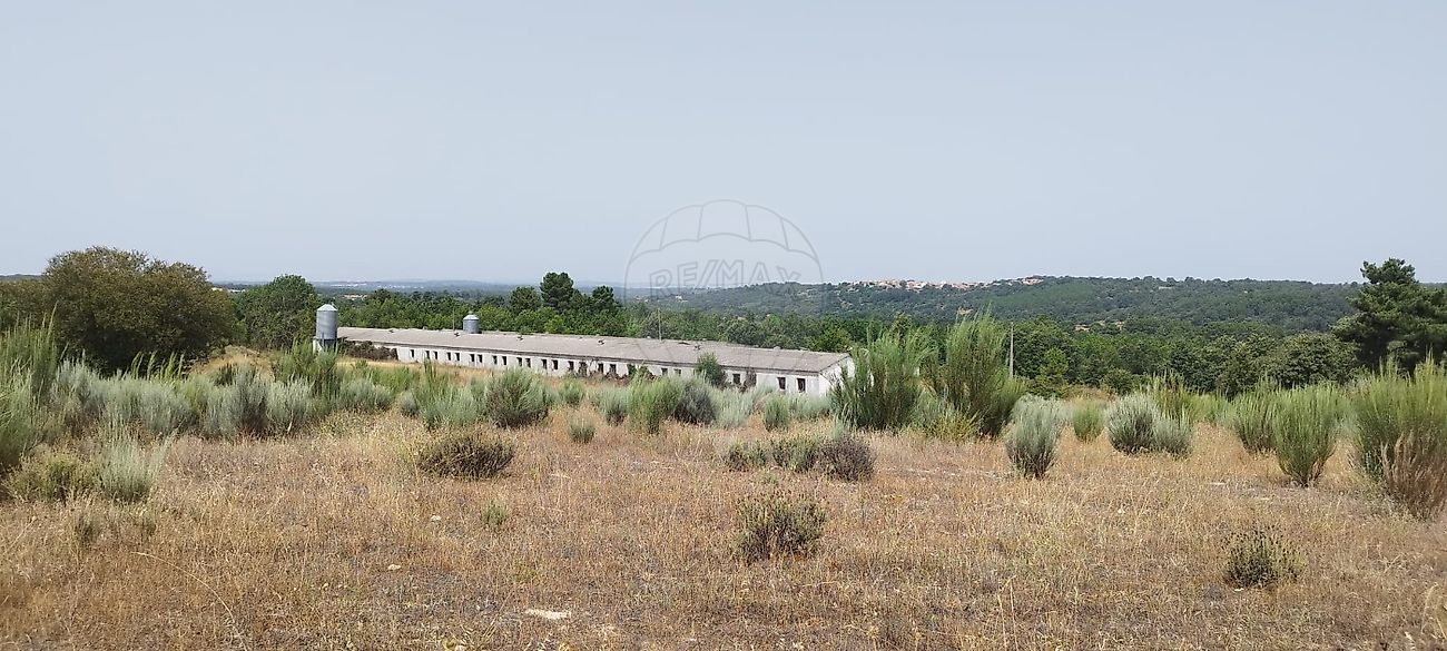 Quinta - Marmeleiro, Guarda, Guarda