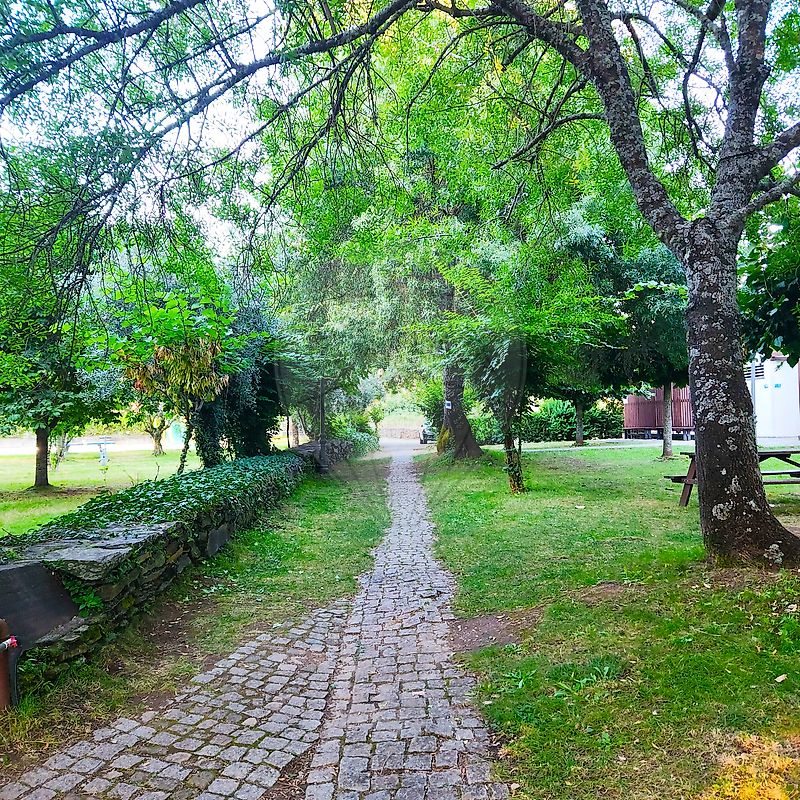 Moradia T5 à venda em Meimoa, Penamacor — foto 29