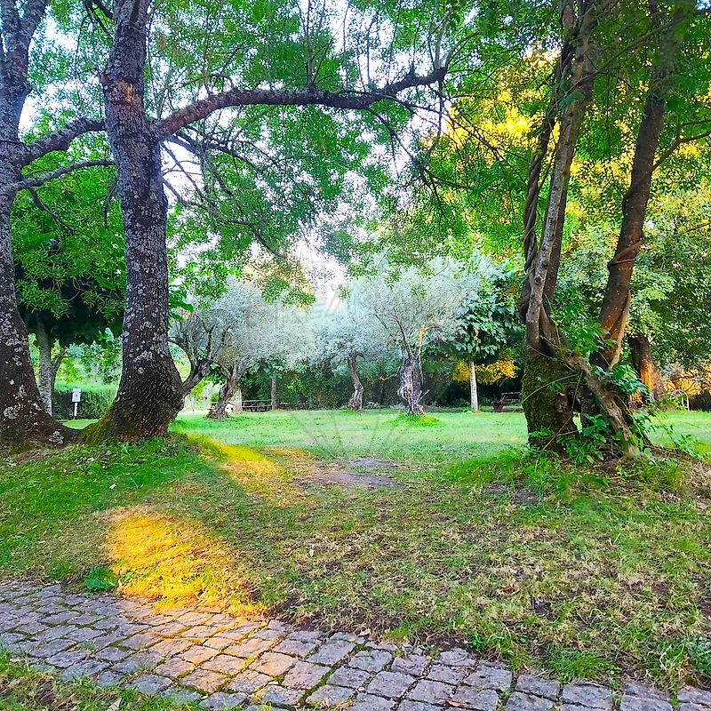 Moradia T5 à venda em Meimoa, Penamacor — foto 36
