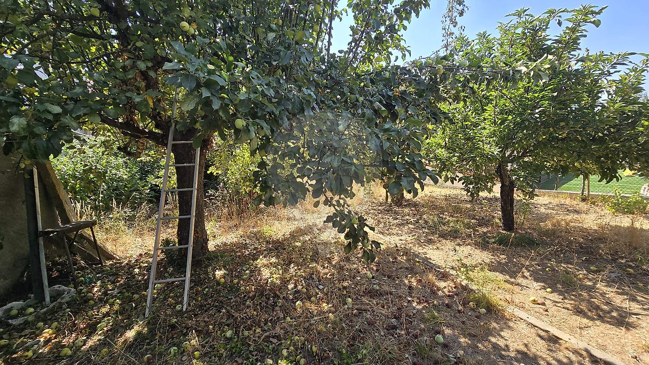 Moradia T4 à venda em Erada, Covilhã — foto 27