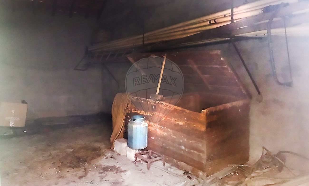 Moradia T3 à venda em Benquerença, Penamacor — foto 19