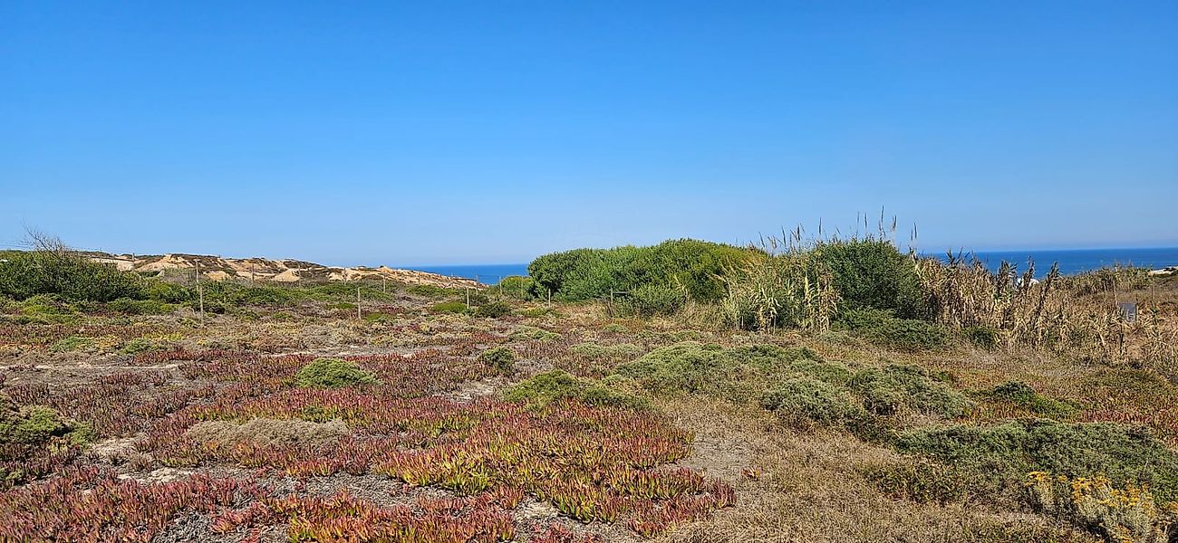 Terreno à venda em Peniche