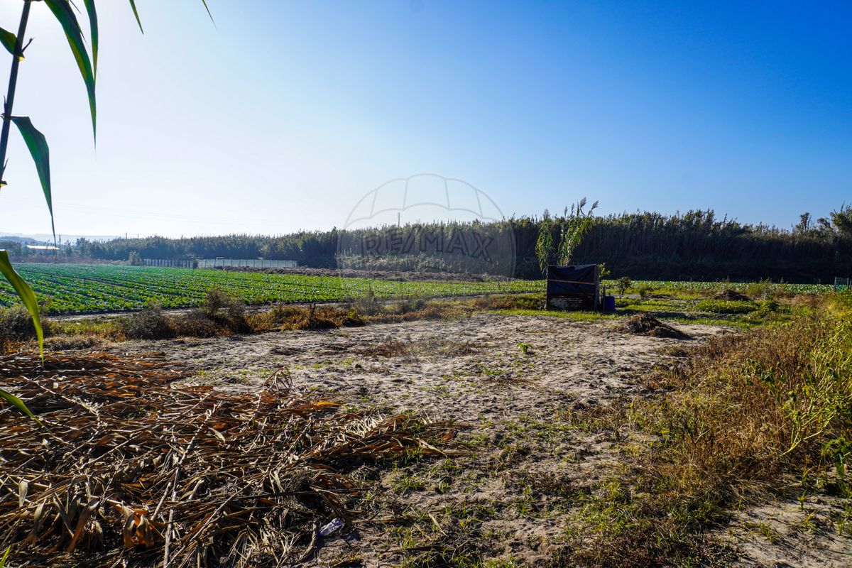 Terreno  para venda