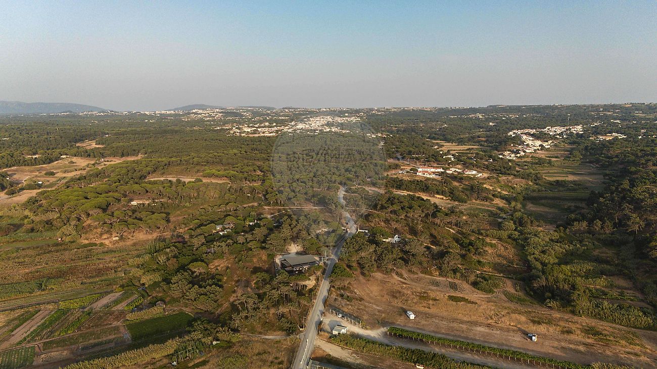 listing 126691094-2 picture-0