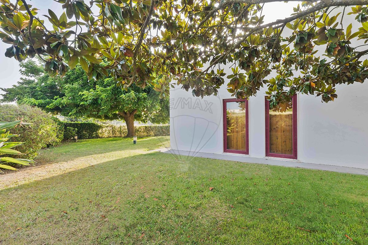 listing 126691094-2 picture-0
