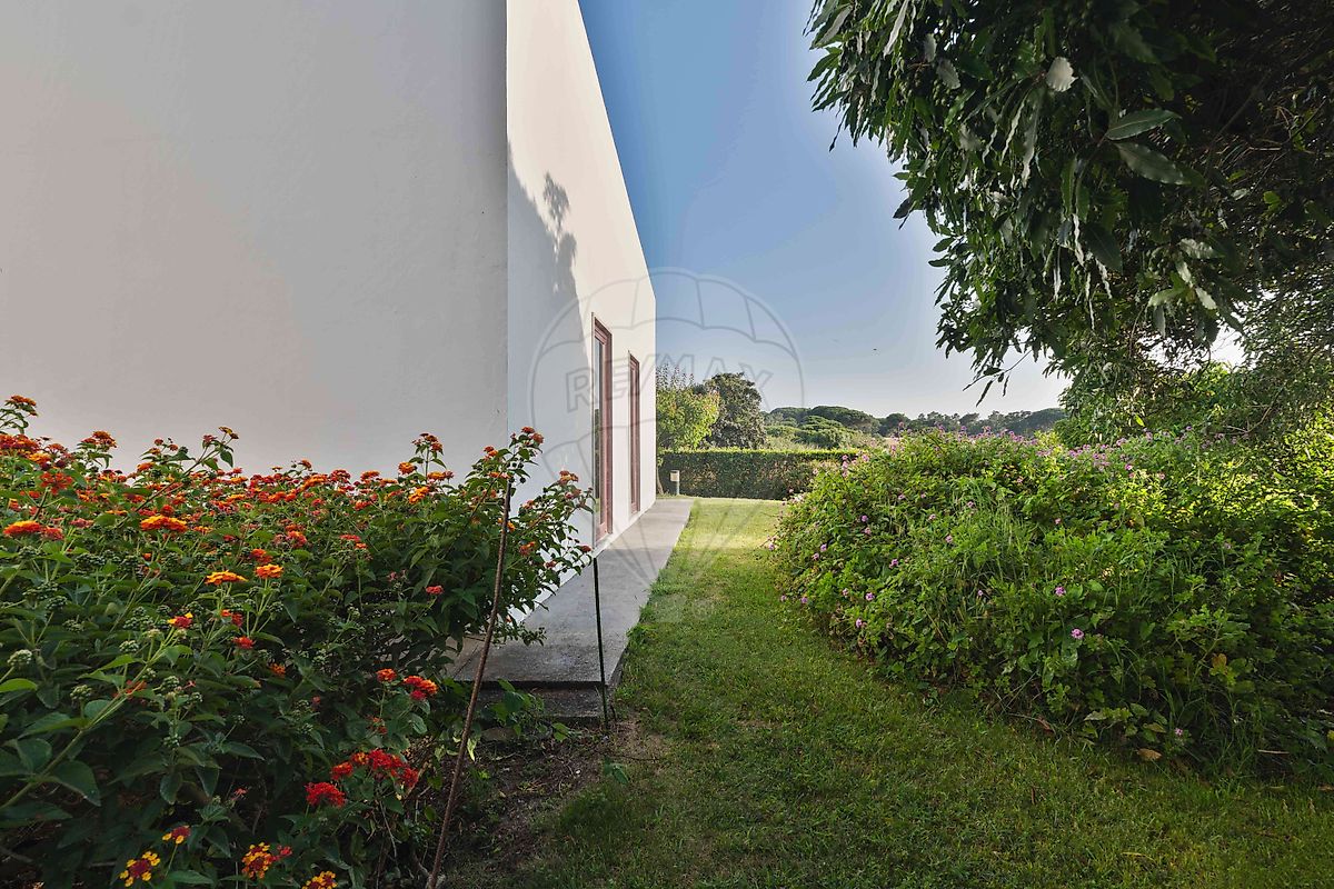 listing 126691094-2 picture-0