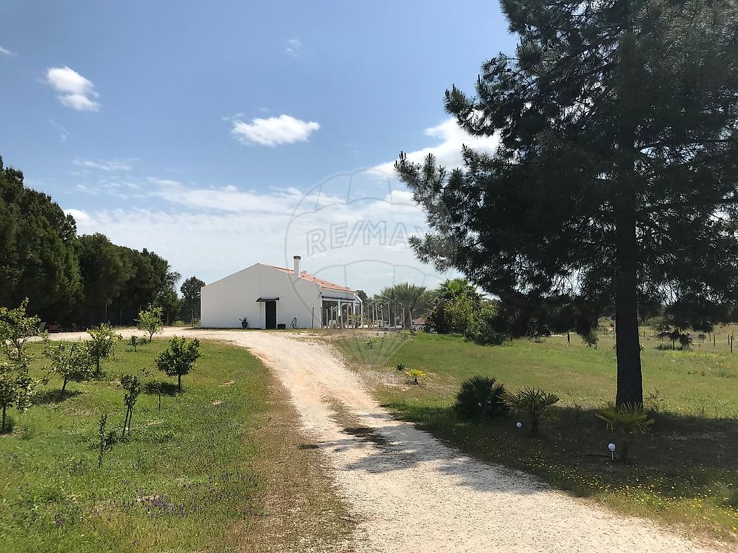 listing-picture-0