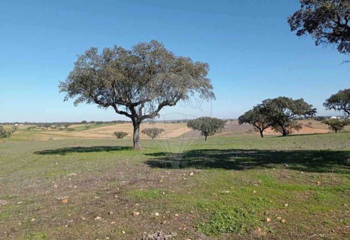 listing-picture-0