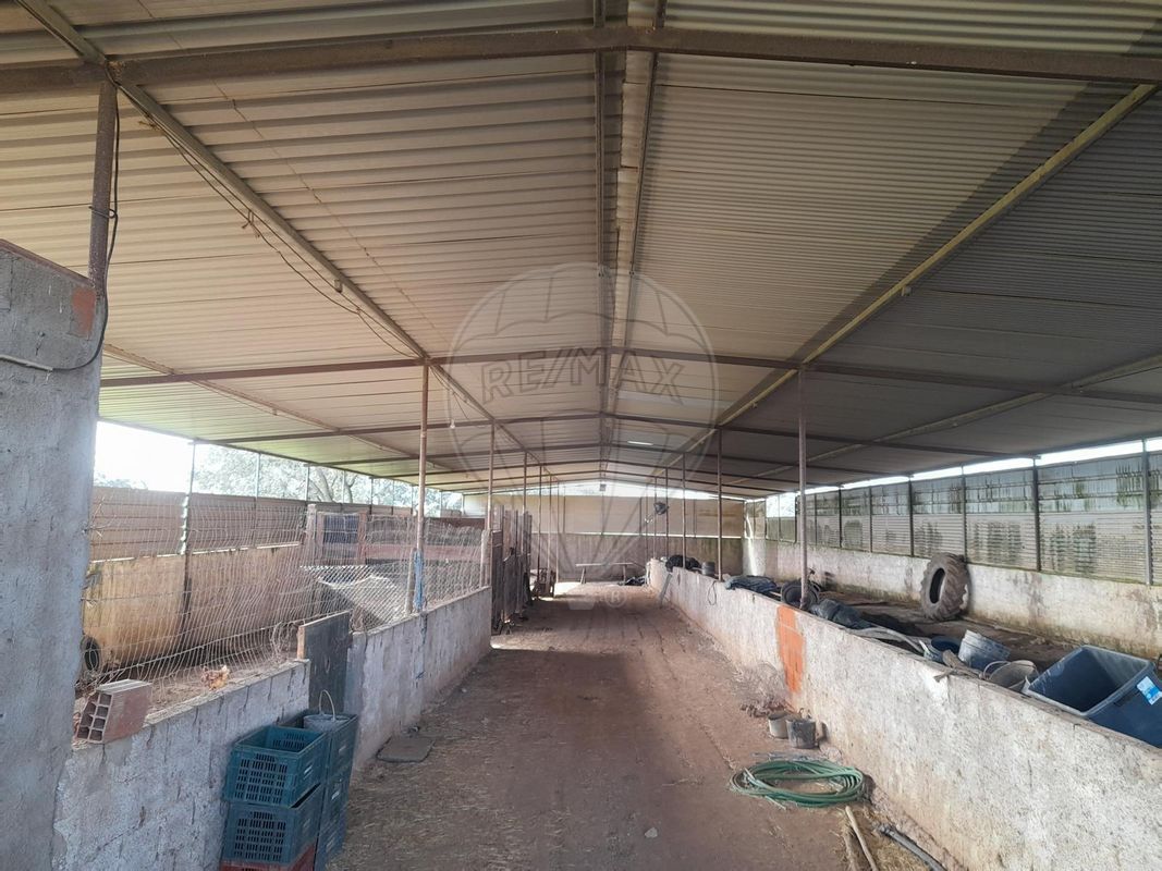 listing-picture-0