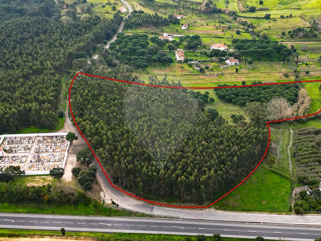 Terreno à venda em Azambuja