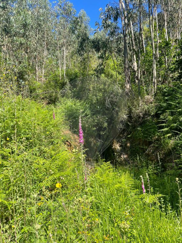 Terreno  para venda