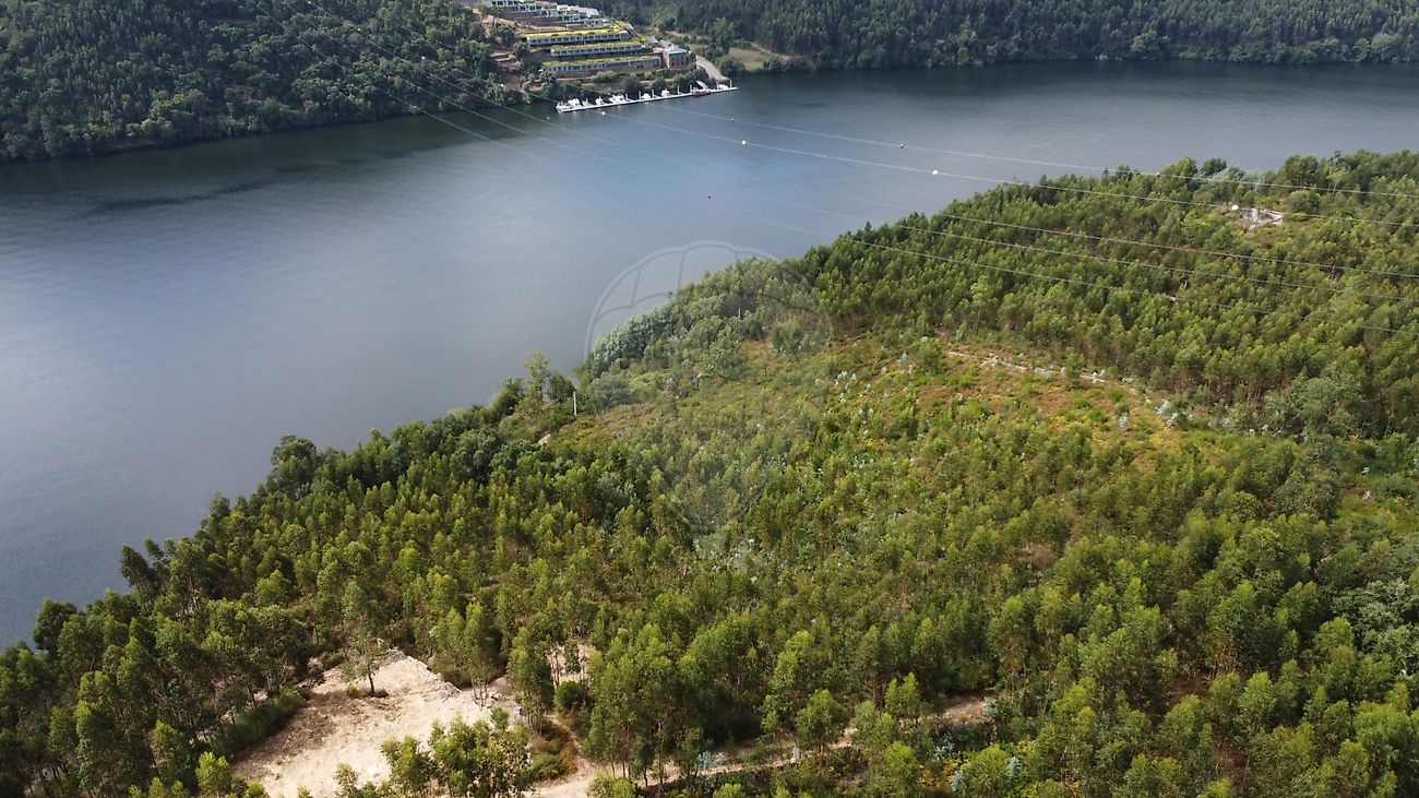 Terreno  para venda