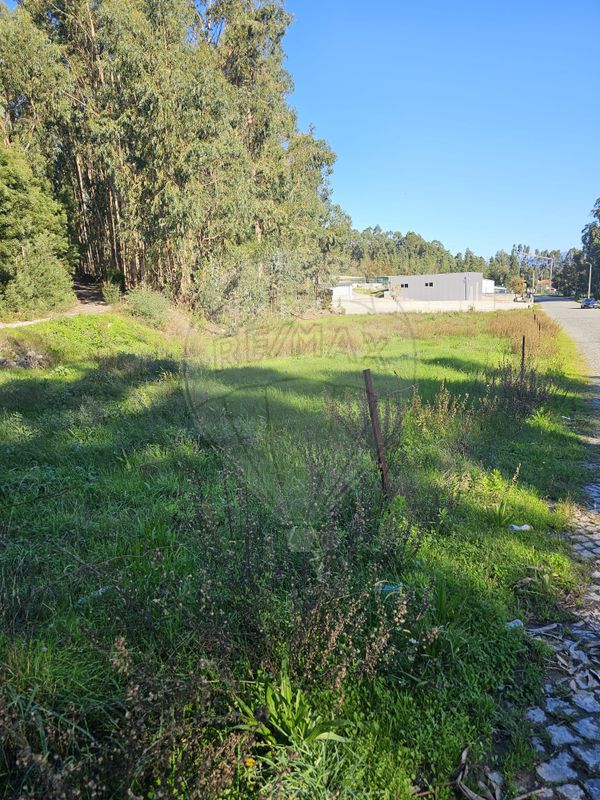 Terreno para venda