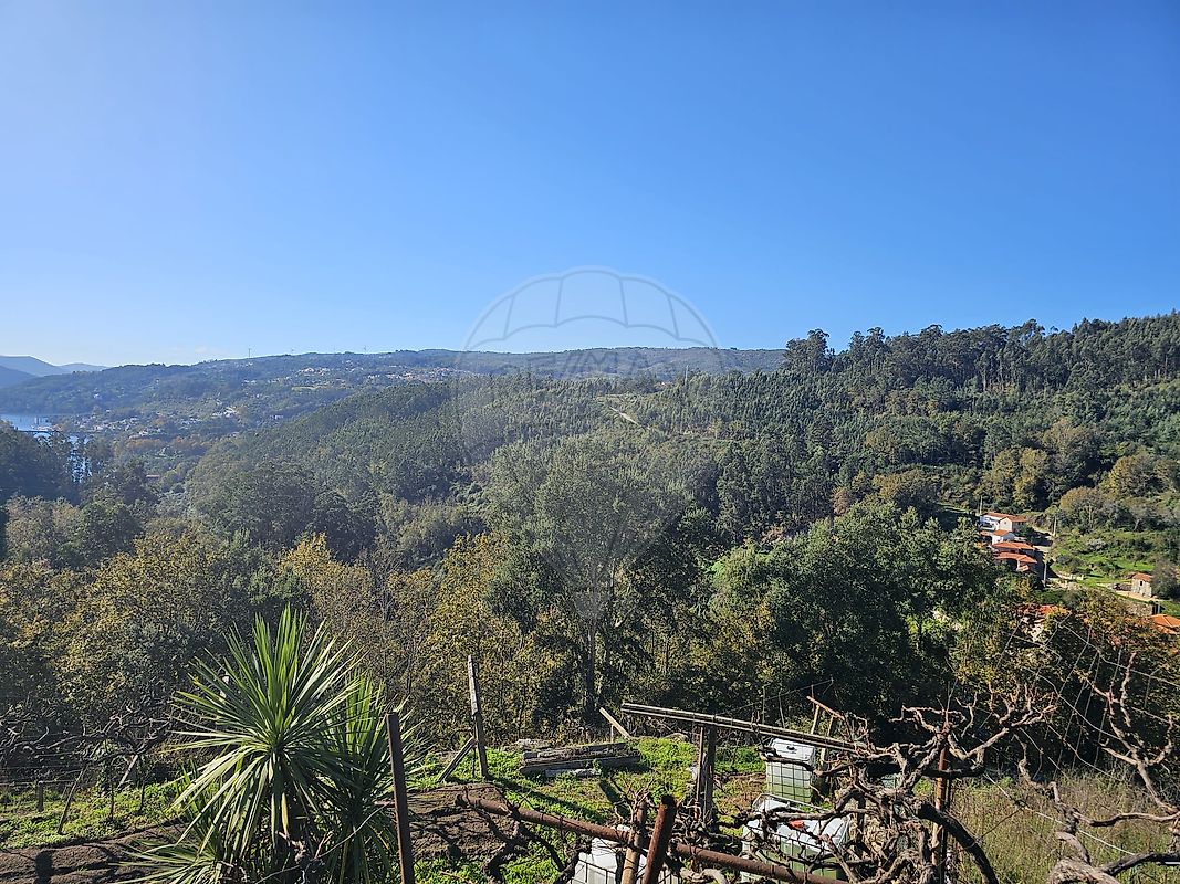 Terreno para venda