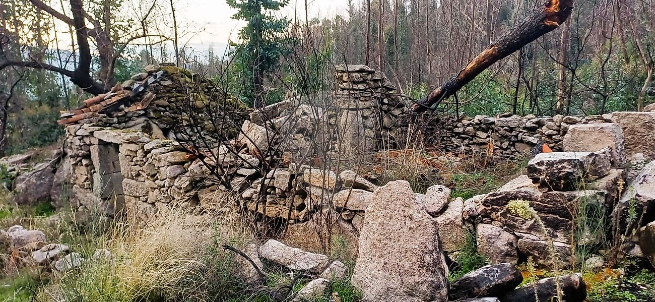 Terreno - Oliveira, Cinfães, Viseu