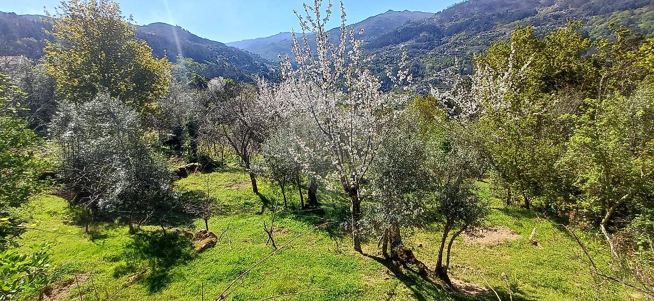 Moradia T4 à venda em Oliveira, Cinfães — foto 10