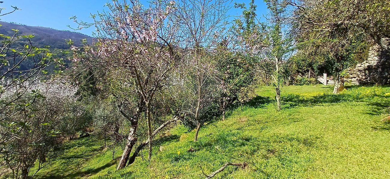 Moradia T4 à venda em Oliveira, Cinfães — foto 24