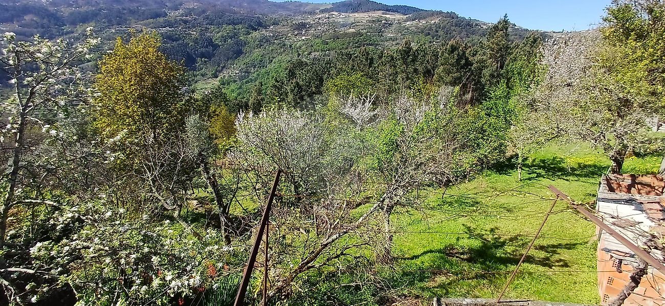 Moradia T4 à venda em Oliveira, Cinfães — foto 25