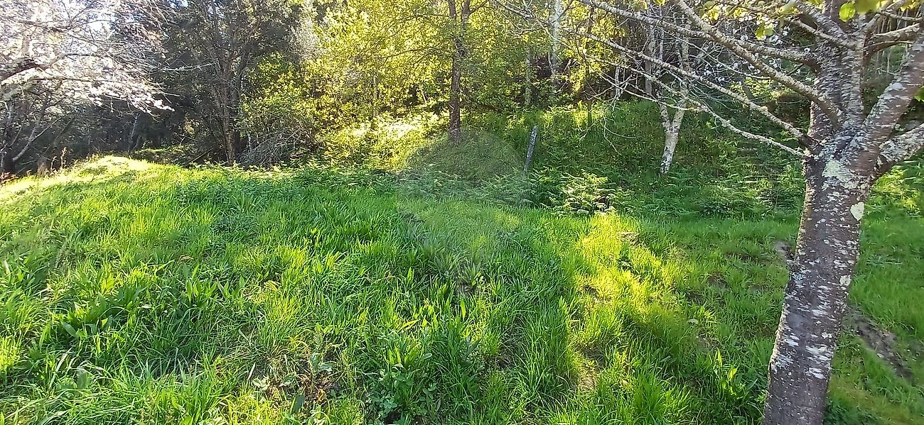 Moradia T3 à venda em Oliveira, Cinfães — foto 12