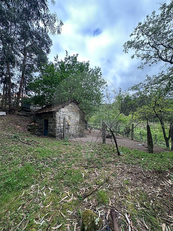 Terreno - Abragão, Penafiel, Porto