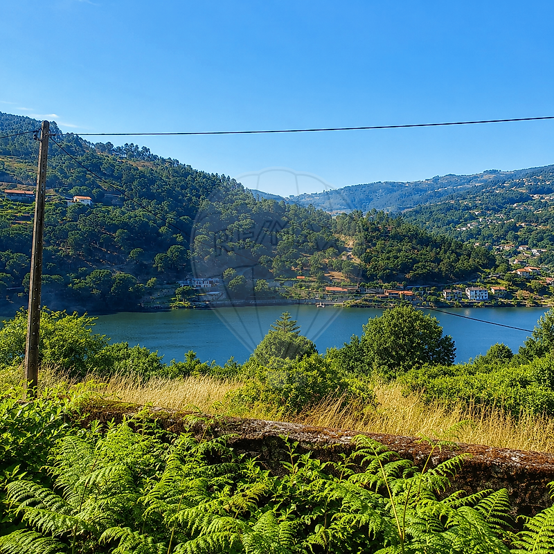 Terreno - Cinfães, Cinfães, Viseu