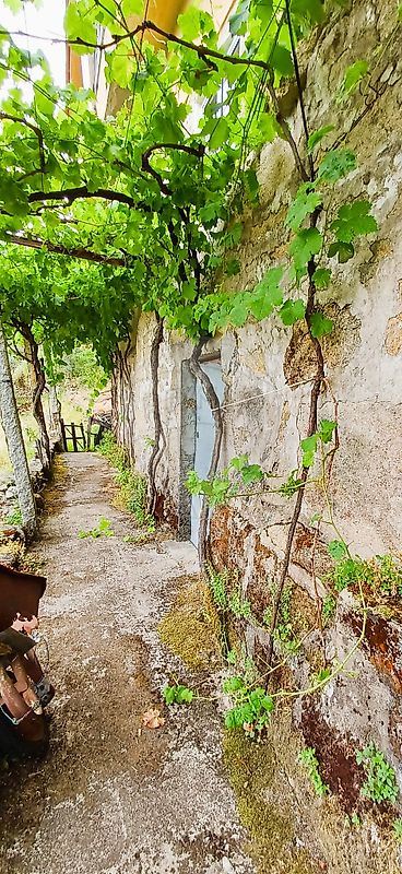 Moradia T3 à venda em Oliveira, Cinfães — foto 27
