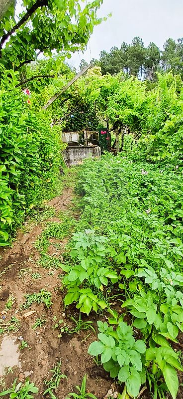 Moradia T3 à venda em Oliveira, Cinfães — foto 28
