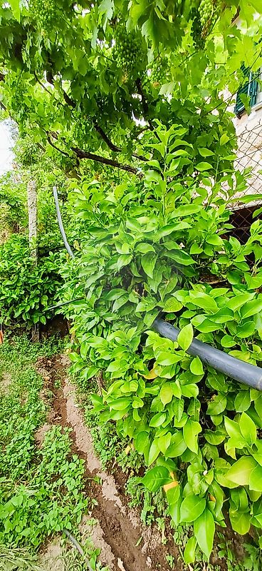 Moradia T3 à venda em Oliveira, Cinfães — foto 29