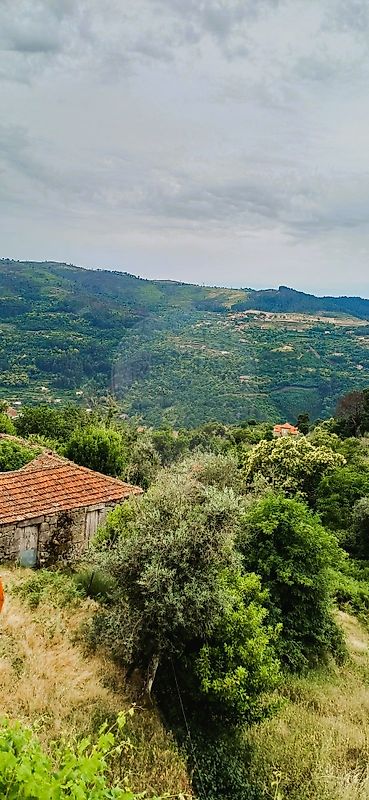 Moradia T3 à venda em Oliveira, Cinfães — foto 10