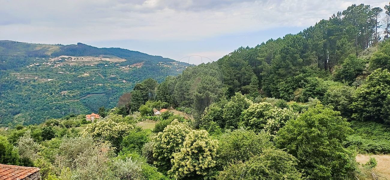 Moradia T3 à venda em Oliveira, Cinfães — foto 30