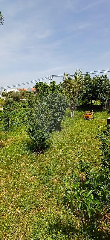 Moradia T3 à venda em Travanca de Lagos, Oliveira do Hospital — foto 24