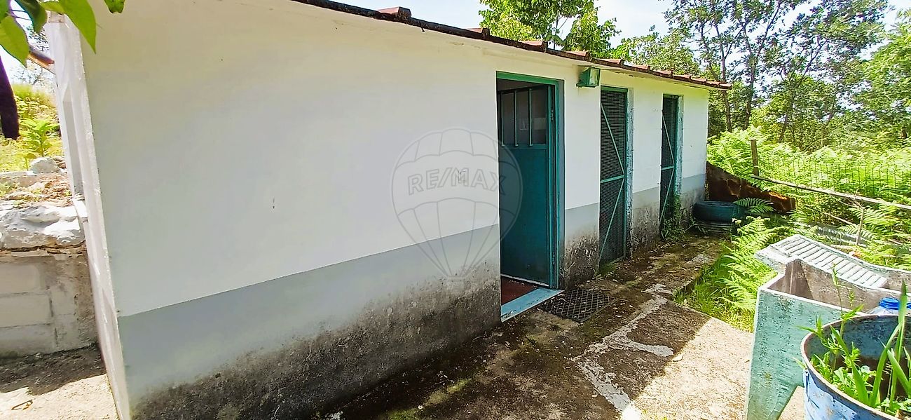 Moradia T3 à venda em Travanca de Lagos, Oliveira do Hospital — foto 21