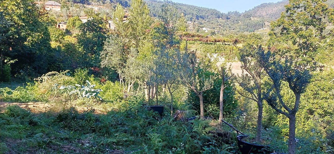Moradia T1 à venda em Nespereira, Cinfães — foto 7