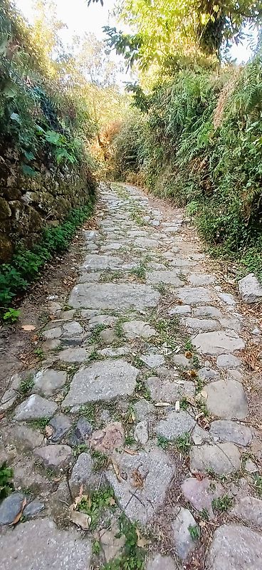 Moradia T1 à venda em Nespereira, Cinfães — foto 11