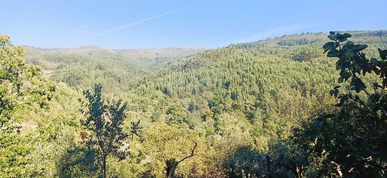 Moradia T1 à venda em Nespereira, Cinfães — foto 9