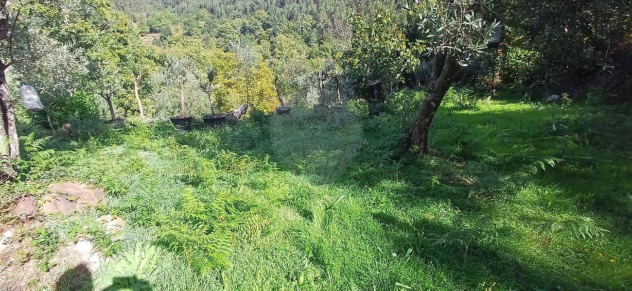 Moradia T1 à venda em Nespereira, Cinfães — foto 10