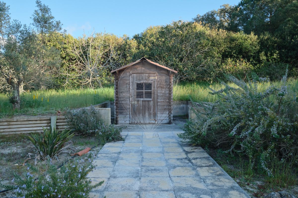 listing-picture-0