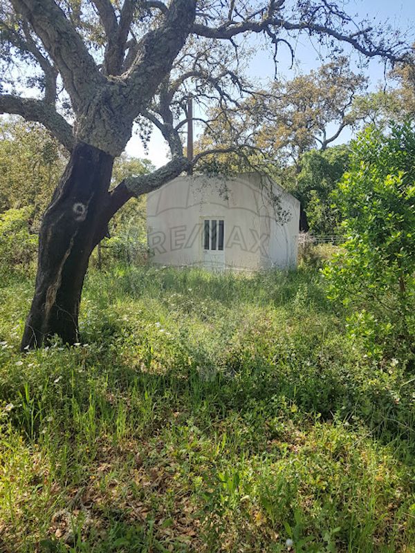listing-picture-0